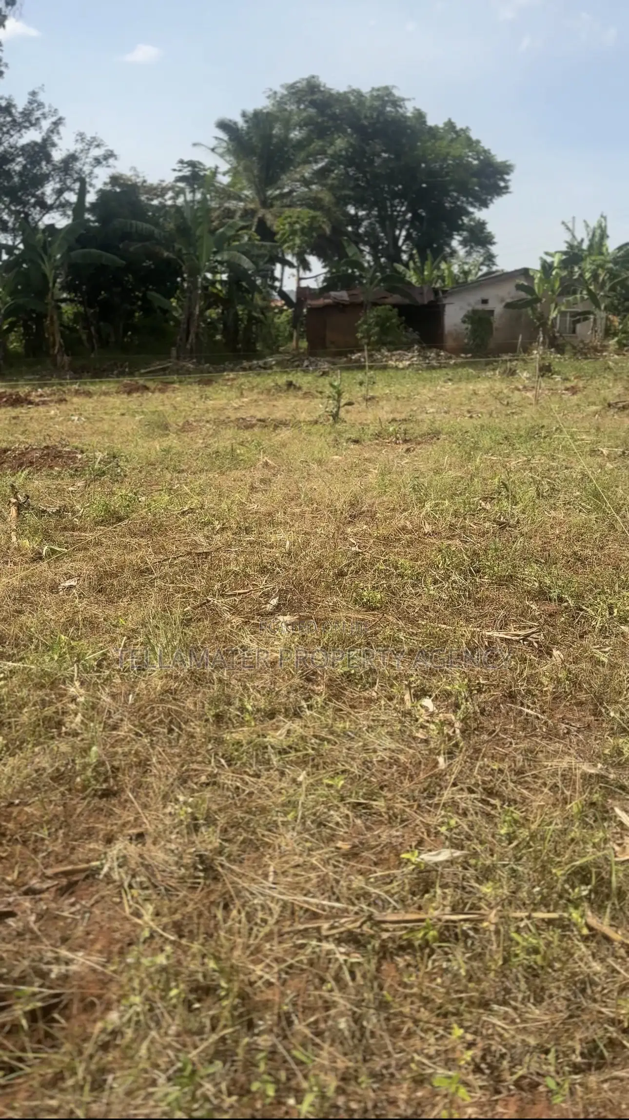 50*50ft and 50*100ft Plots at Nakifuma-Magogo for Sale