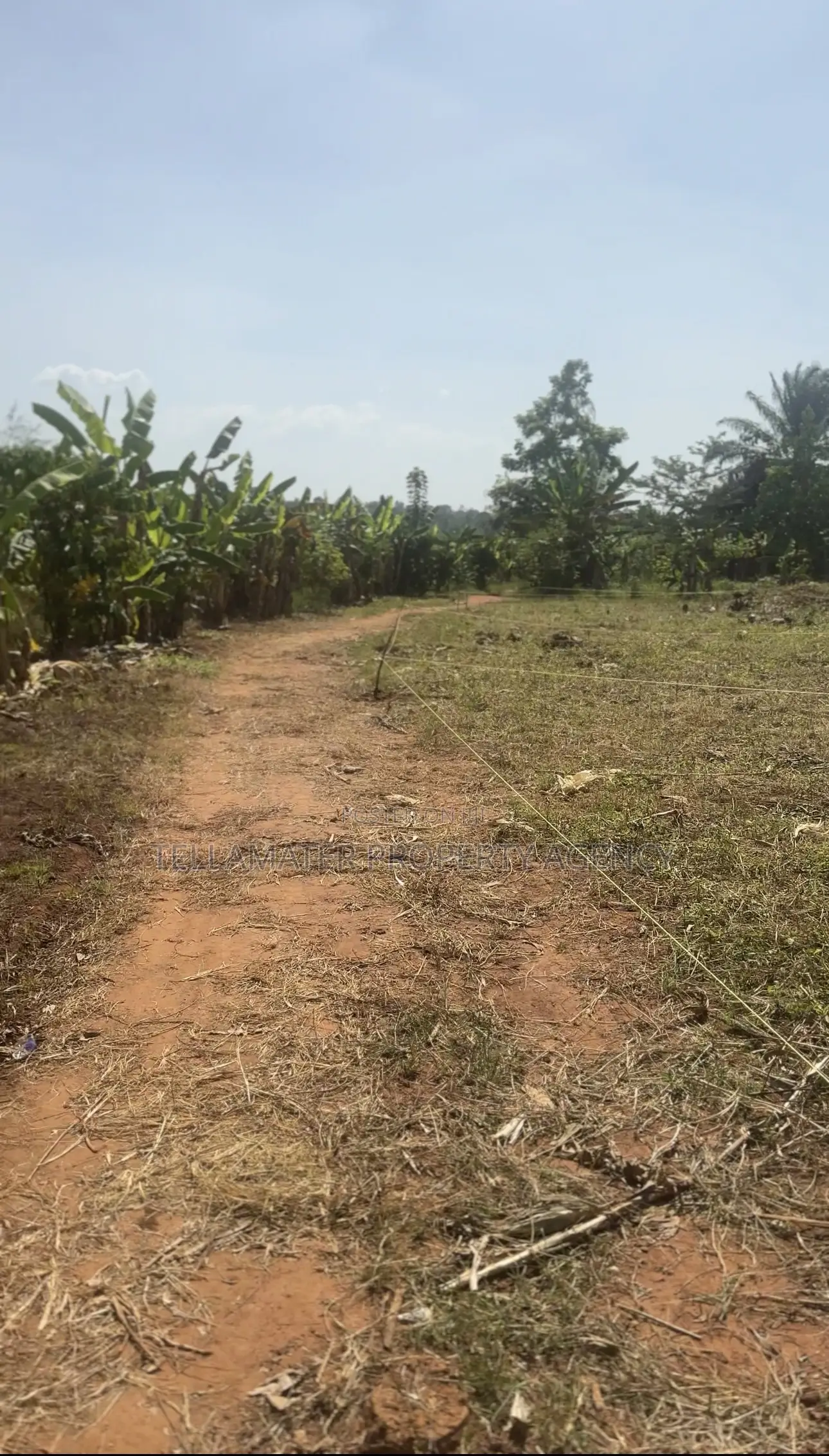 50*50ft and 50*100ft Plots at Nakifuma-Magogo for Sale