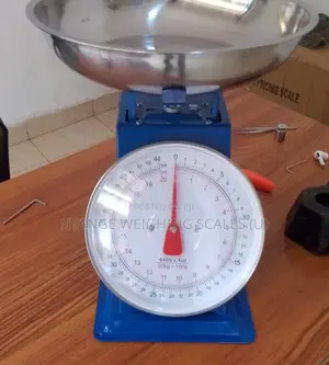 20kg Weigh Spring Weighing Scales Kitchen Analog Weighing Scale