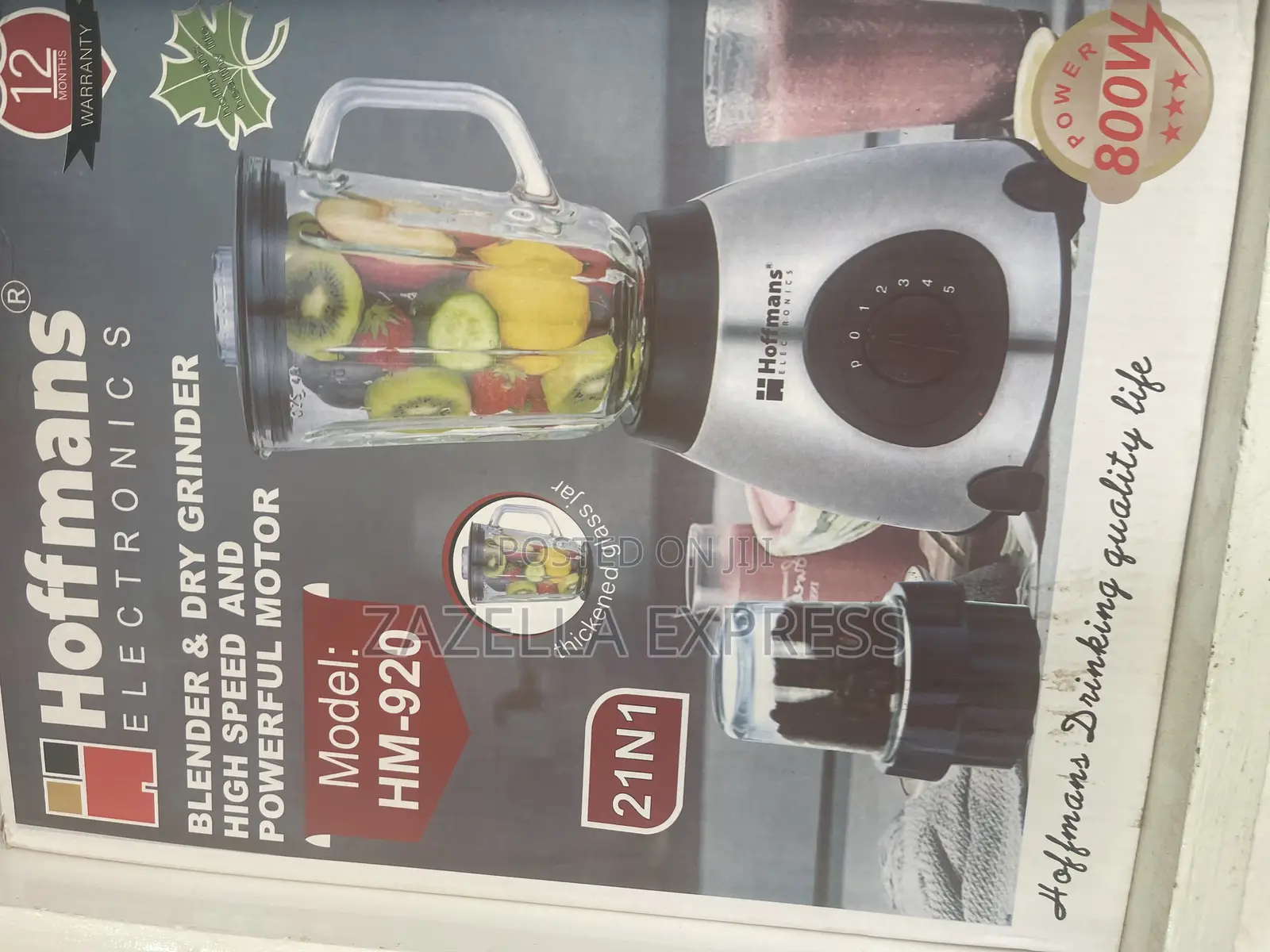 Hoffmans 2 in 1 Glass Blender