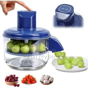 Electric Peeling Machine for Onion Skin Remover