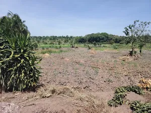 50 by 100 Titled Plot on Sale