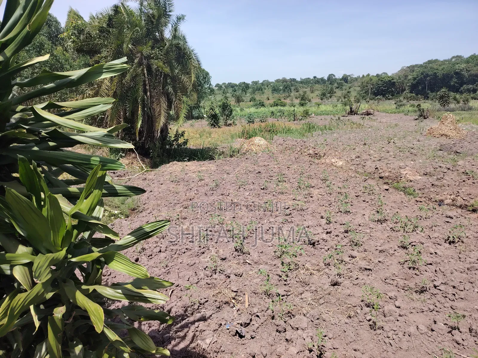 50 by 100 Titled Plot on Sale