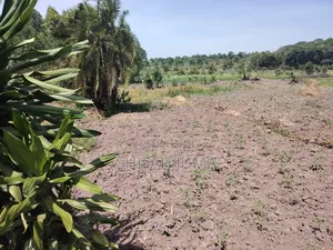 50 by 100 Titled Plot on Sale