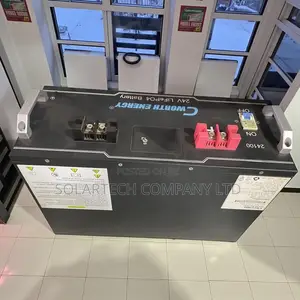 Advanced Cworth Lithium Battery With BMS Control 2.5kwh