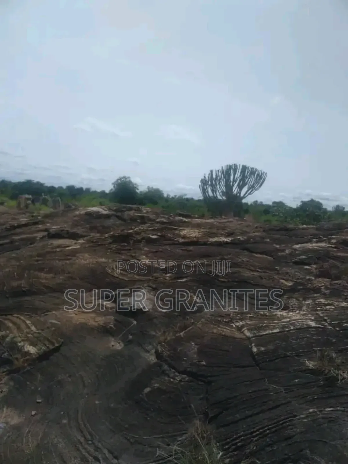 Pure Granite Rock Land