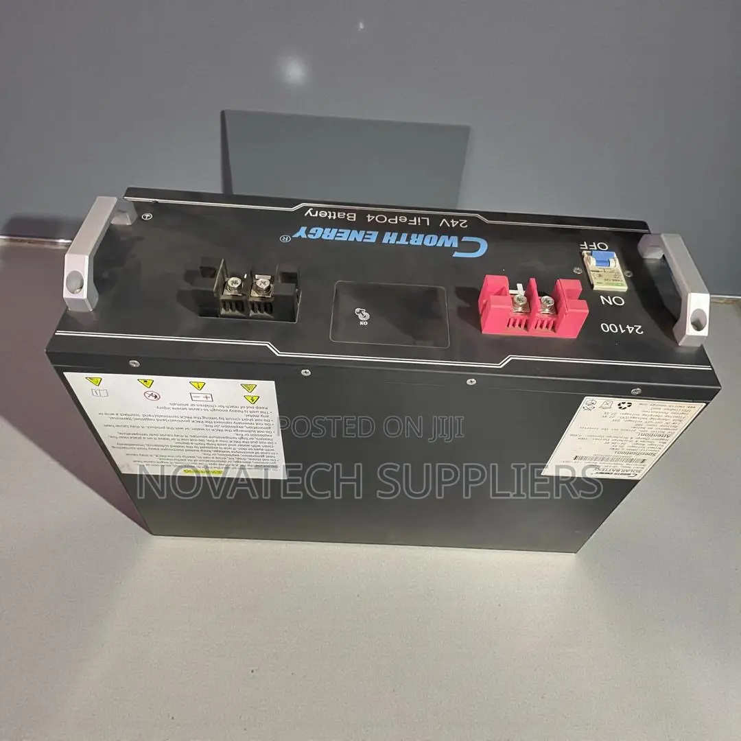 Premium Cworth 24v Lifepo4 Energy Battery