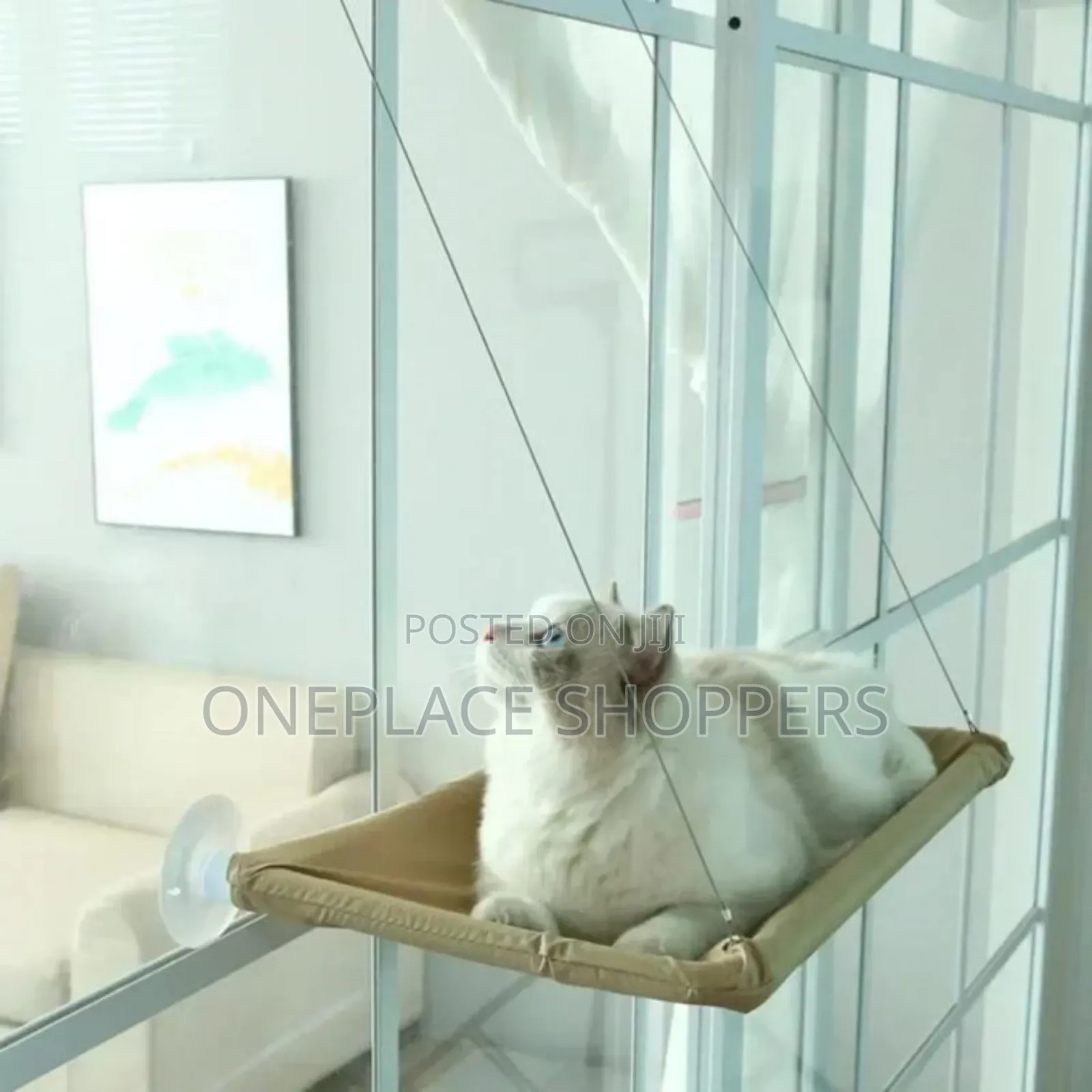 Pet Cat Hammock Aerial Hanging Cat Bed Cats Bed House Kitten Climbing