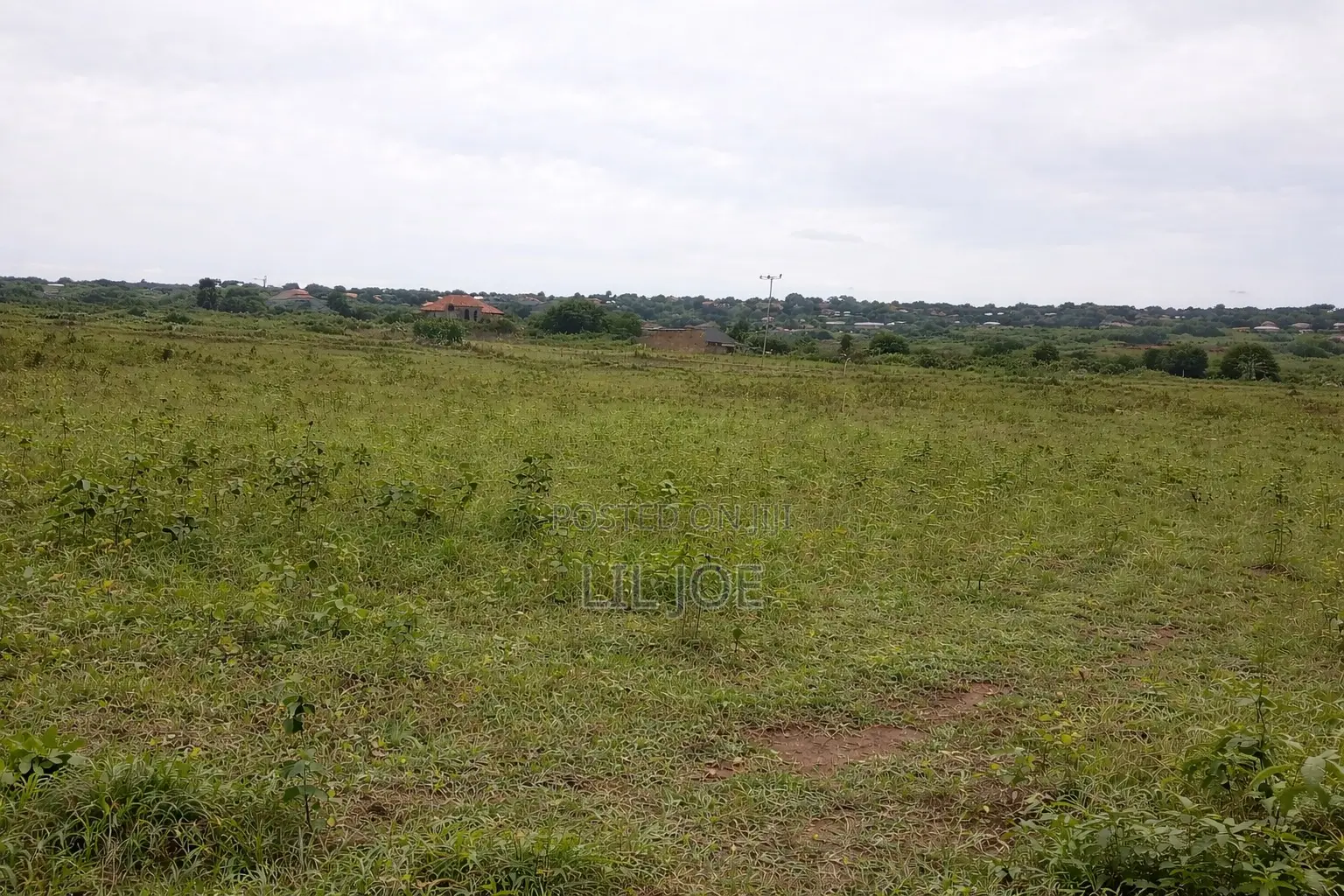 Land 32 by 100 in Busiu