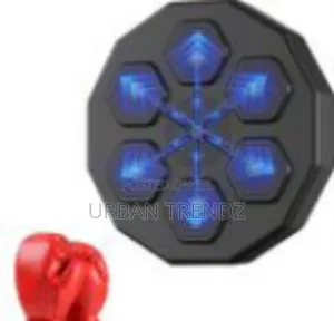 Smart Interactive Boxing Training Machine With Led Reaction Targets