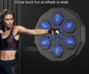 Smart Interactive Boxing Training Machine With Led Reaction Targets