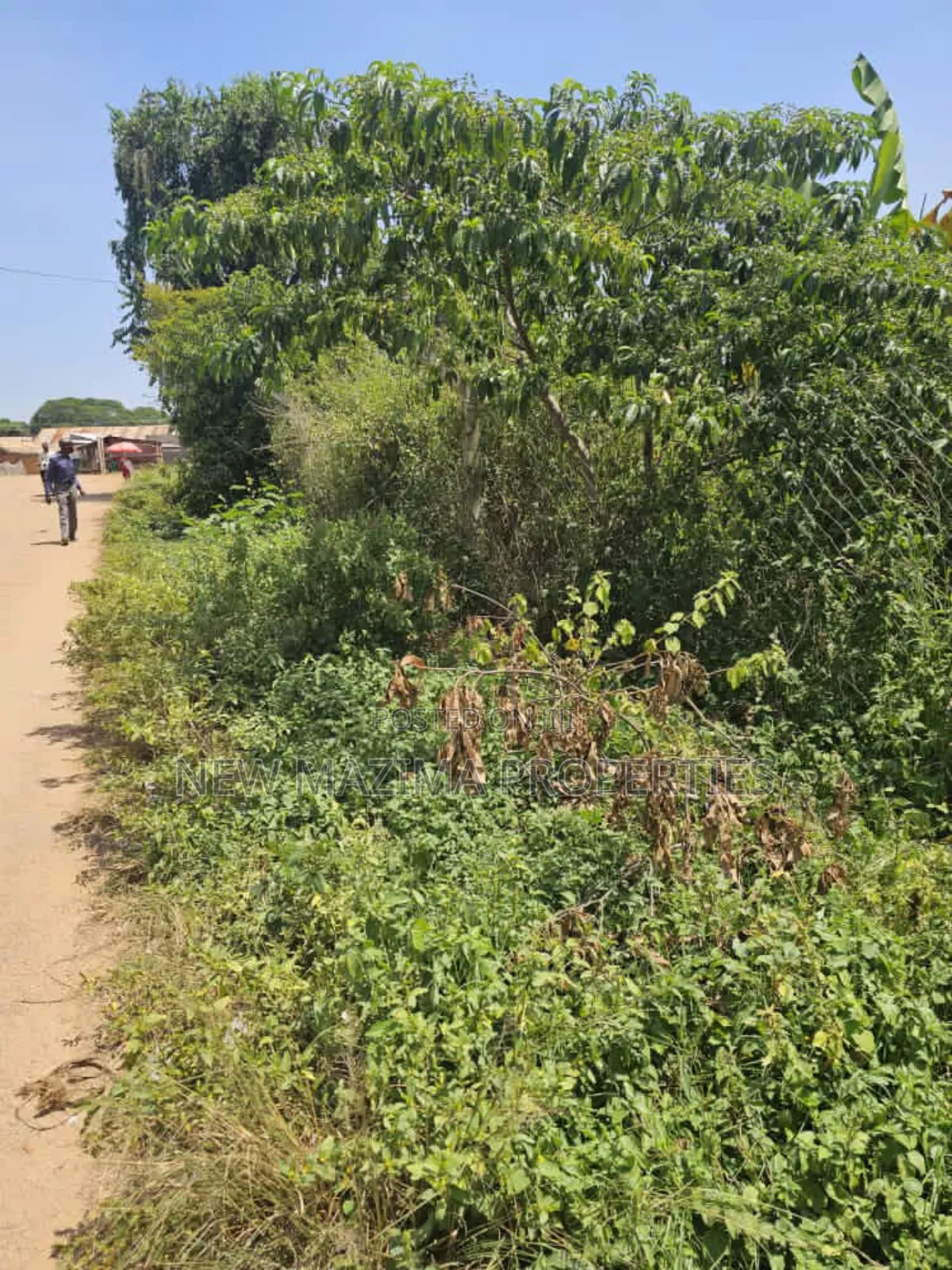 Full Acre on Forced Sale in Heart of Garuga Near Pearl Marina