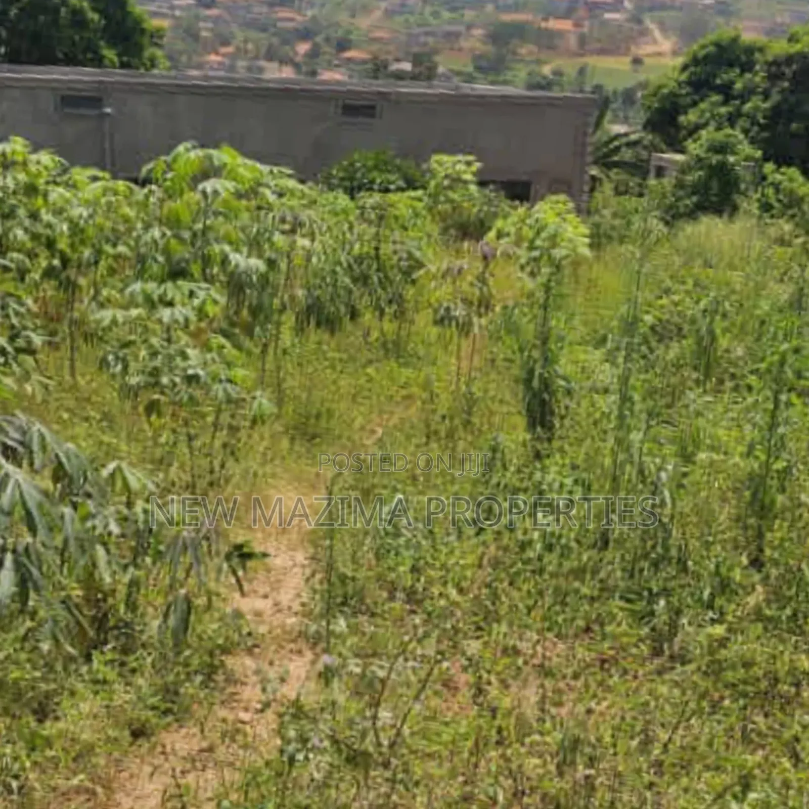 Titled 21 Decimals Plot on Forced Sale in Heart of Kitende Lumuli