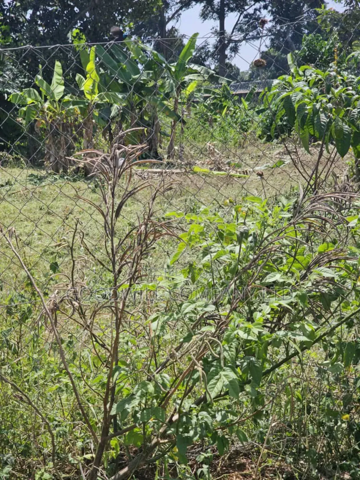 1 Acre of Land in Garuga Entebbe Road