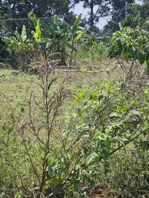 1 Acre of Land in Garuga Entebbe Road