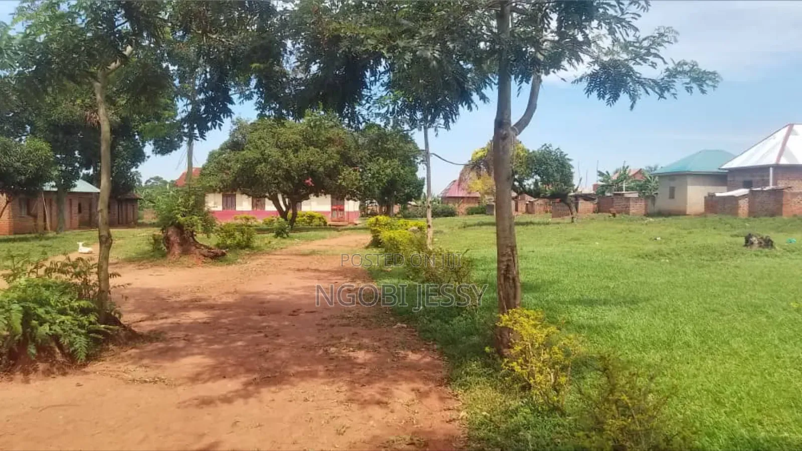 Jinja a Secondary School for Sale at 800m on 3 Acres of Land