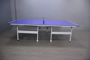 Table Tennis Table Hi Touch Waterproof