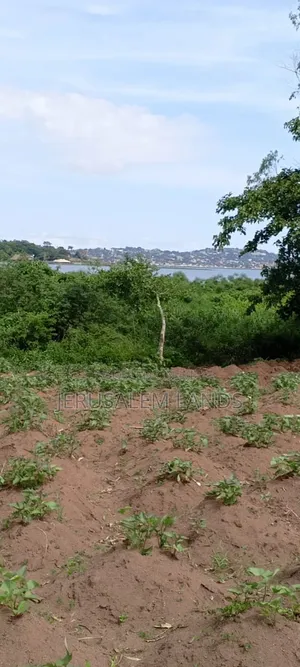 Half Acre Lake View Entebbe Buwaya at 100m Private Milo Title Negotiab