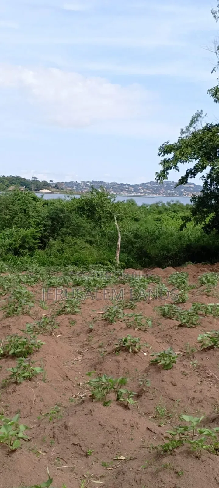 Half Acre Lake View Entebbe Buwaya at 100m Private Milo Title Negotiab