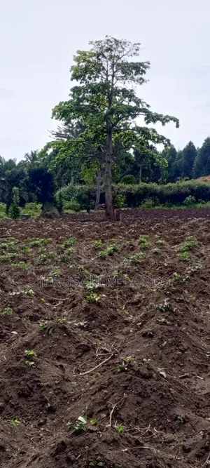 Half Acre Lake View Entebbe Buwaya at 100m Private Milo Title Negotiab