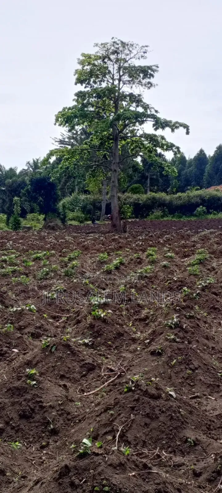 Half Acre Lake View Entebbe Buwaya at 100m Private Milo Title Negotiab