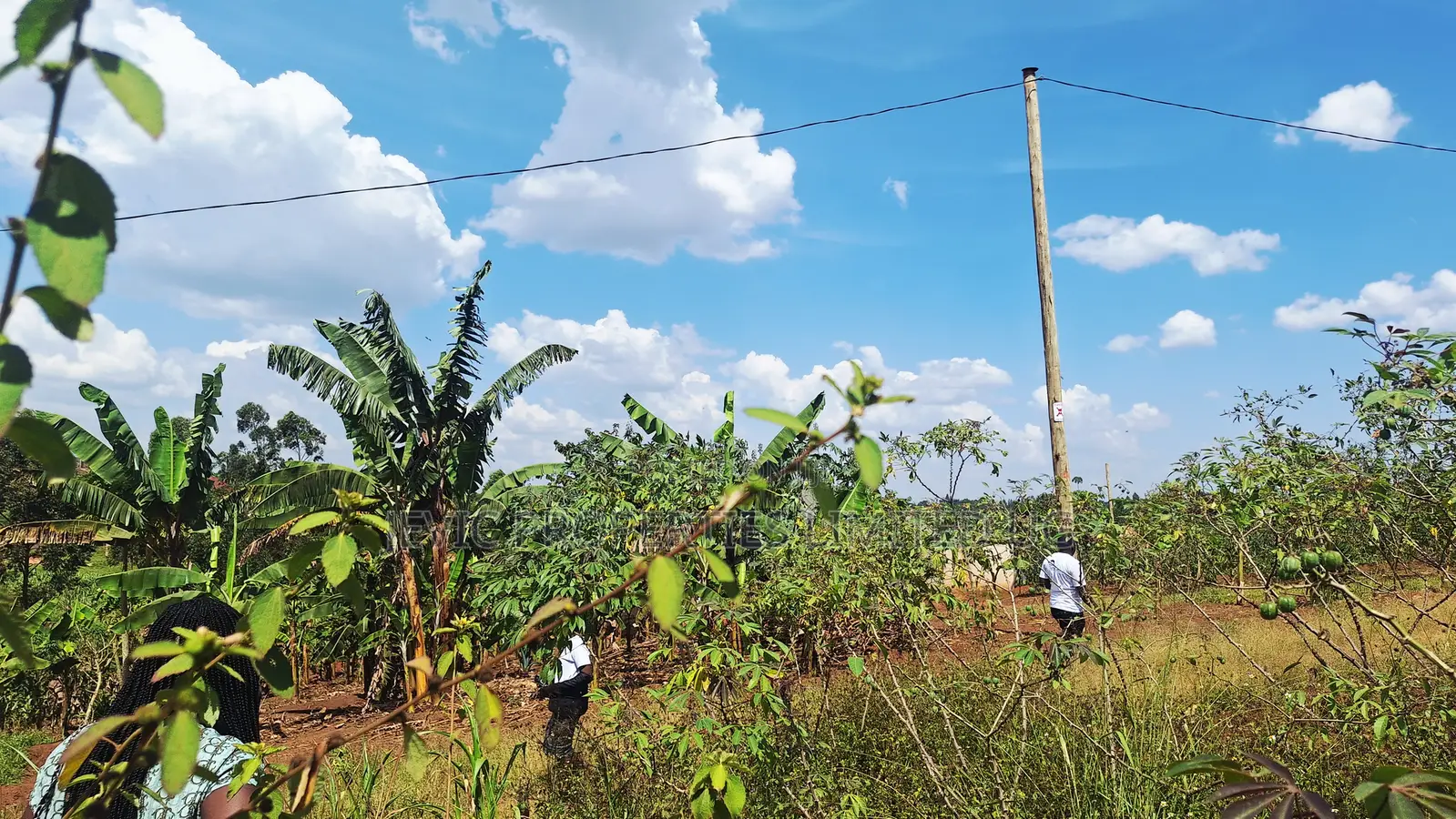 Quick Plot for Sale at Wakiso Namusera