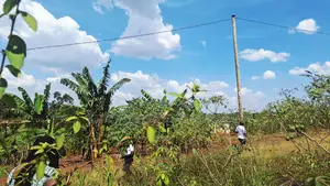 Quick Plot for Sale at Wakiso Namusera