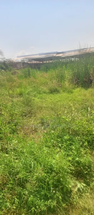 22 Decimals Plot of Land (Low Land) in Kira Bulindo