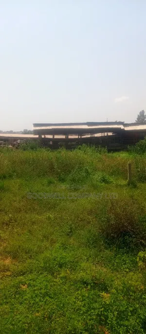 22 Decimals Plot of Land (Low Land) in Kira Bulindo