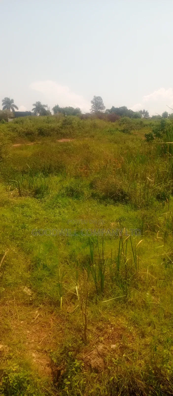 22 Decimals Plot of Land (Low Land) in Kira Bulindo