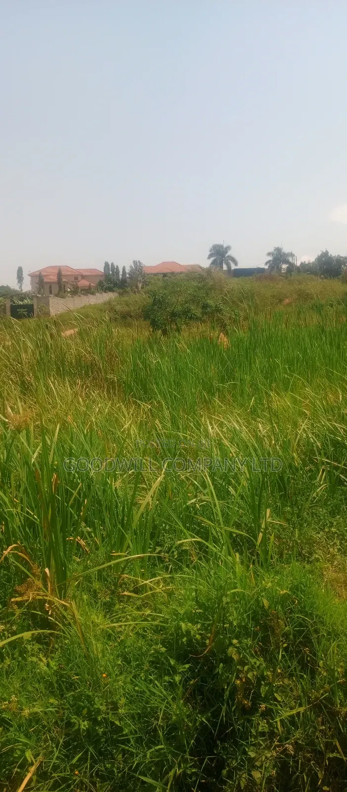 22 Decimals Plot of Land (Low Land) in Kira Bulindo