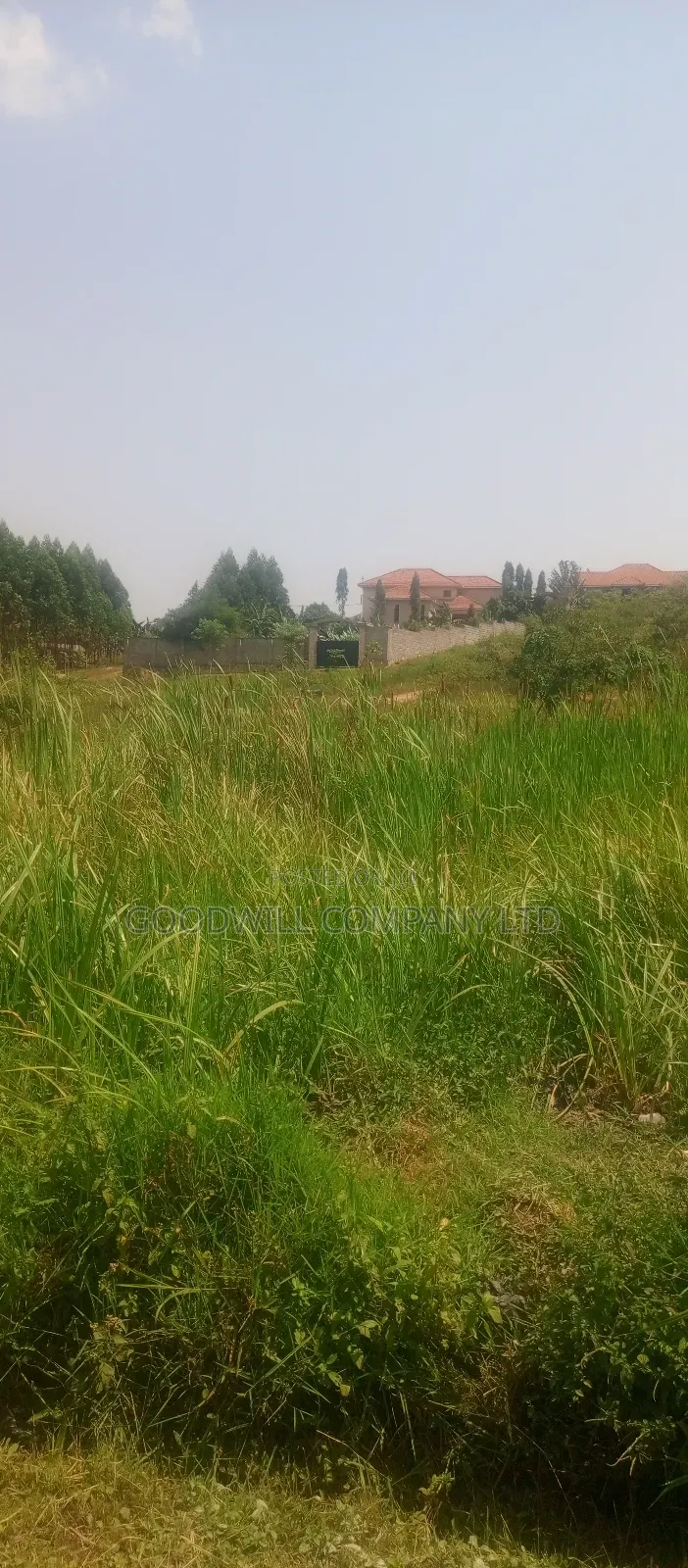 22 Decimals Plot of Land (Low Land) in Kira Bulindo