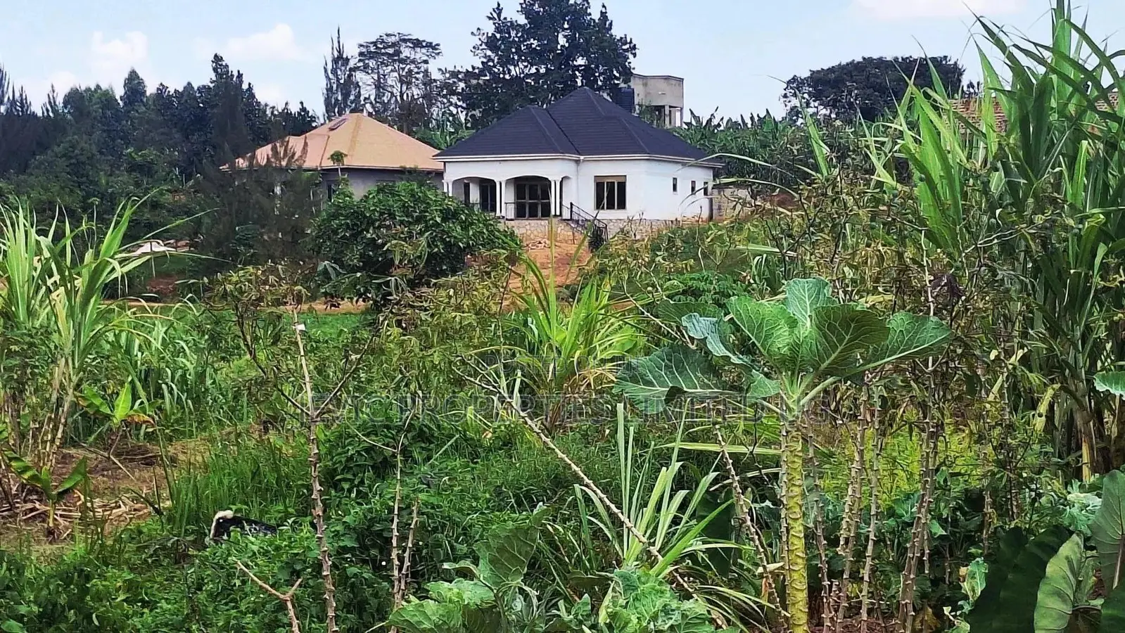 Quick Plot for Sale at Wakiso Namusera