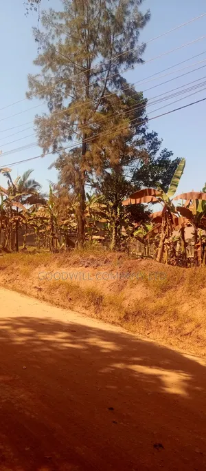 85 Decimals Commercial Plot of Land in Kira Kito