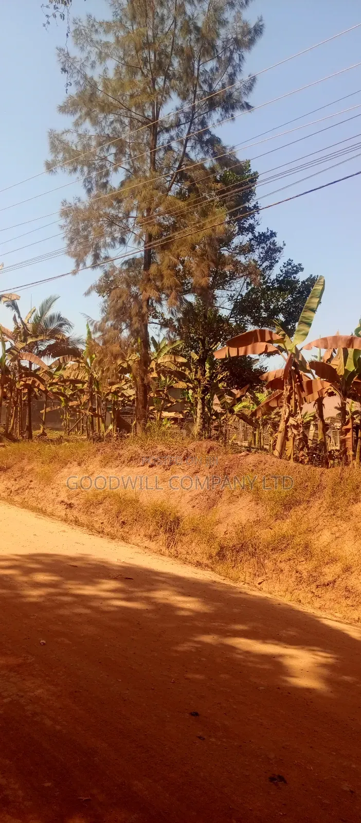 85 Decimals Commercial Plot of Land in Kira Kito