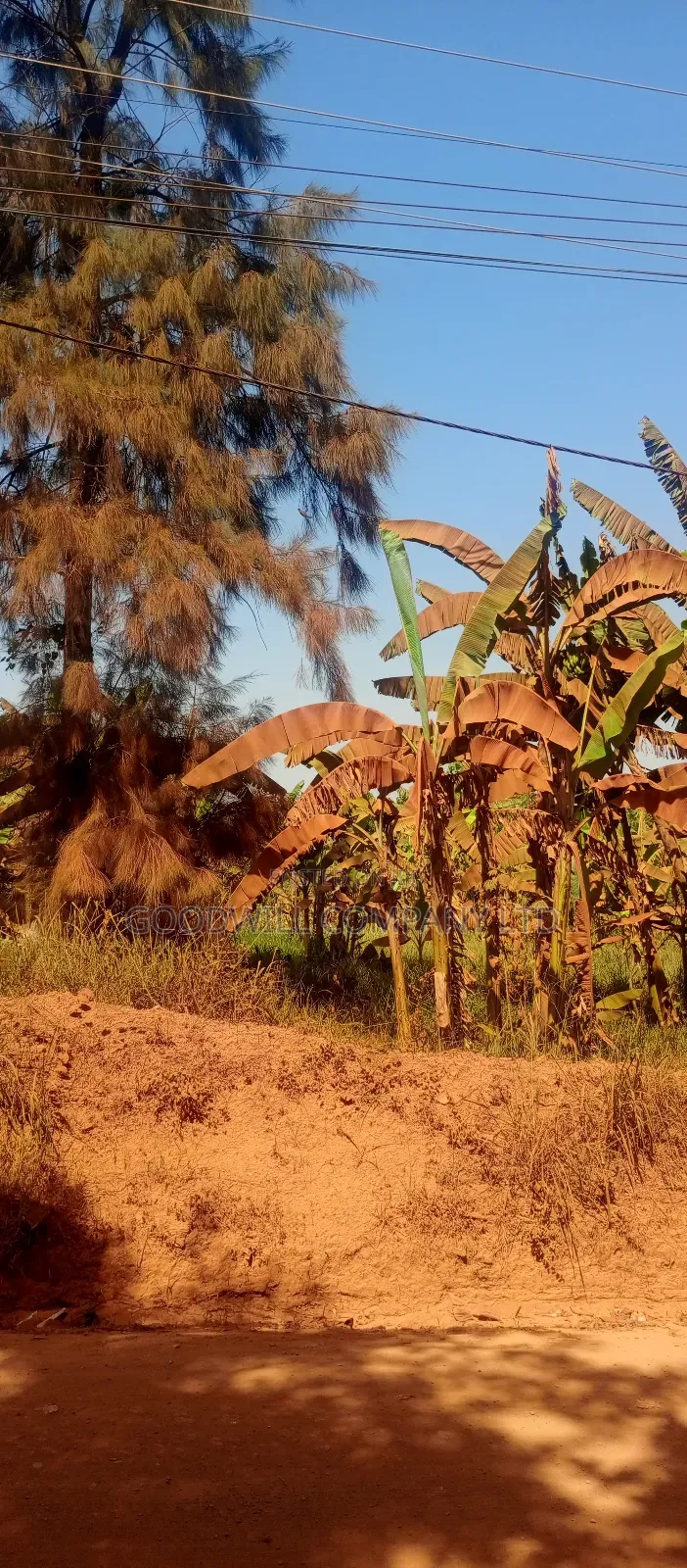 85 Decimals Commercial Plot of Land in Kira Kito