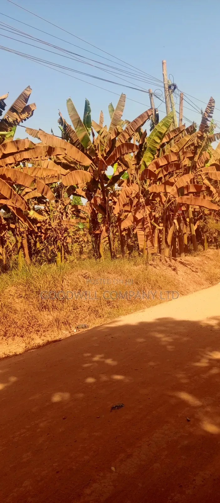 85 Decimals Commercial Plot of Land in Kira Kito