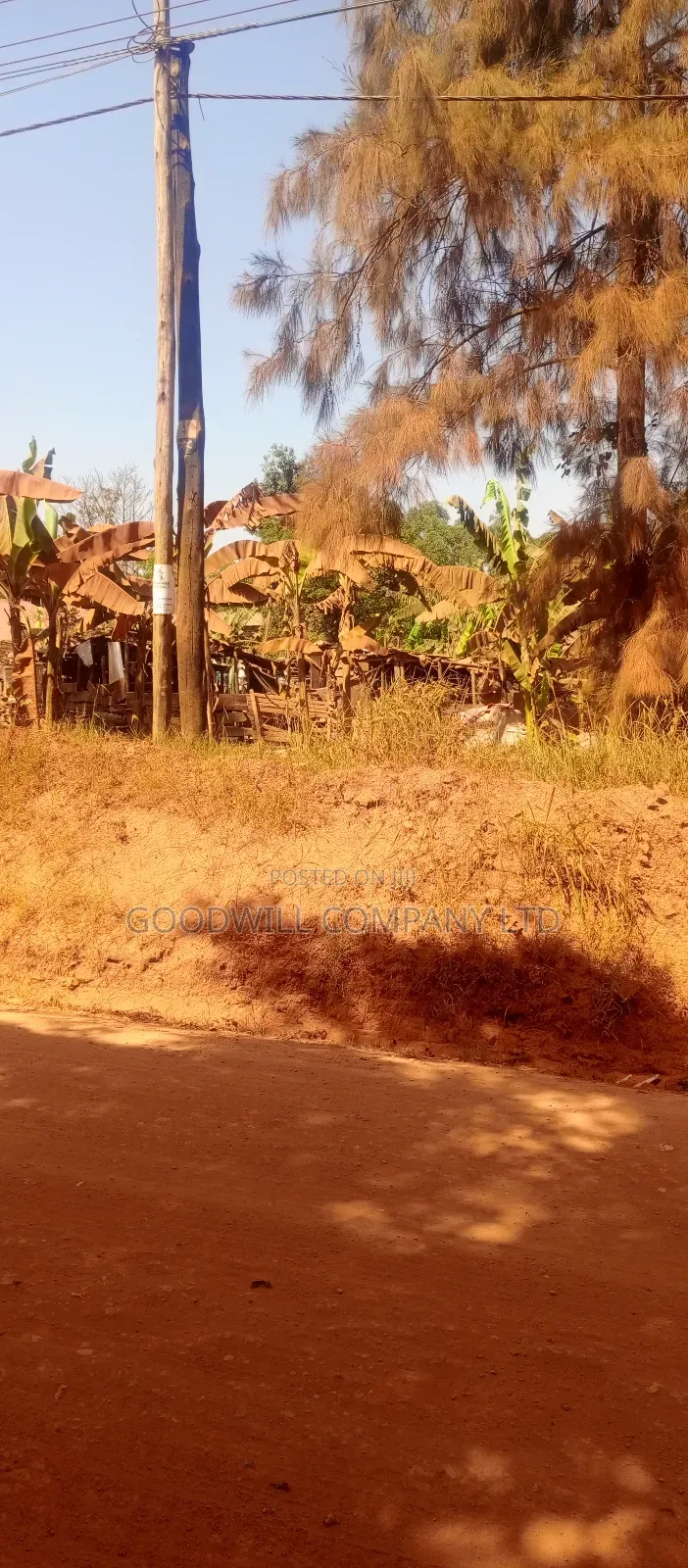 85 Decimals Commercial Plot of Land in Kira Kito