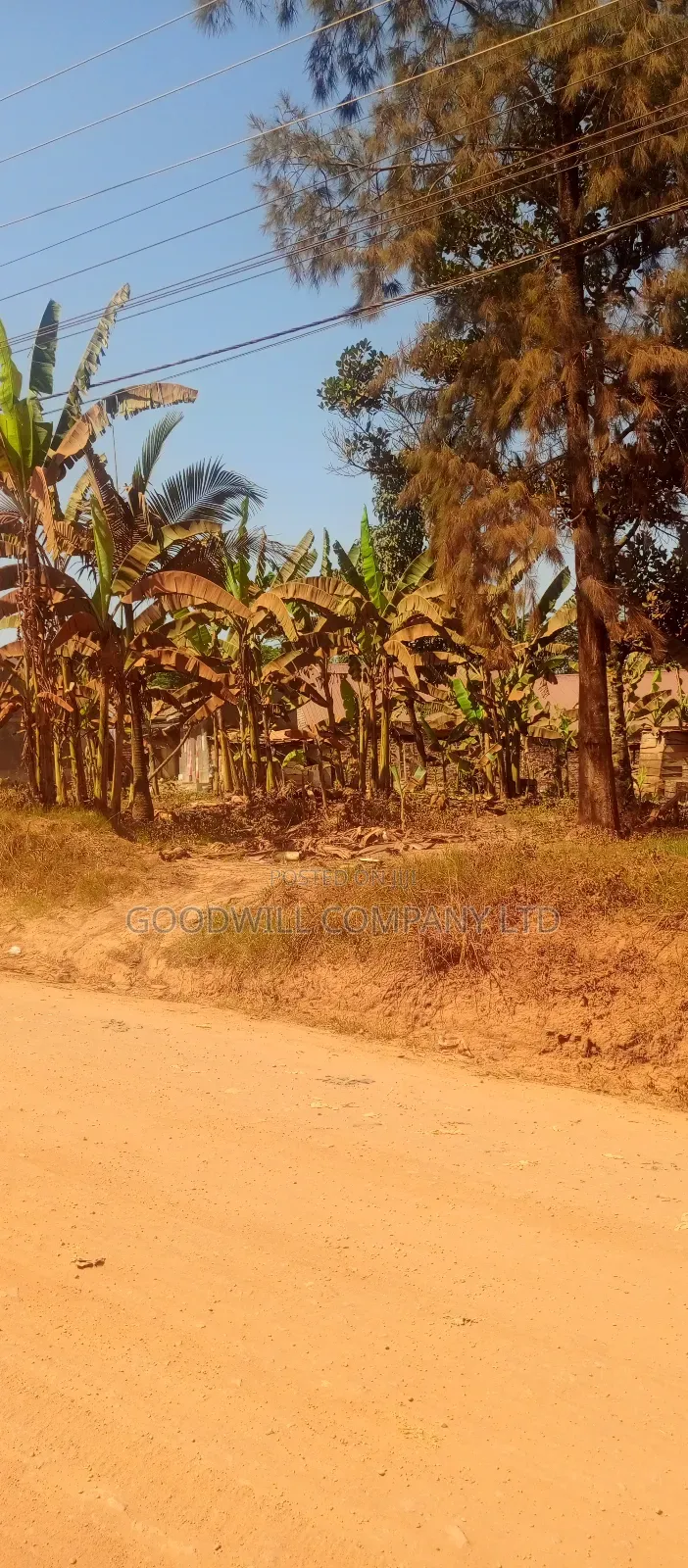 85 Decimals Commercial Plot of Land in Kira Kito