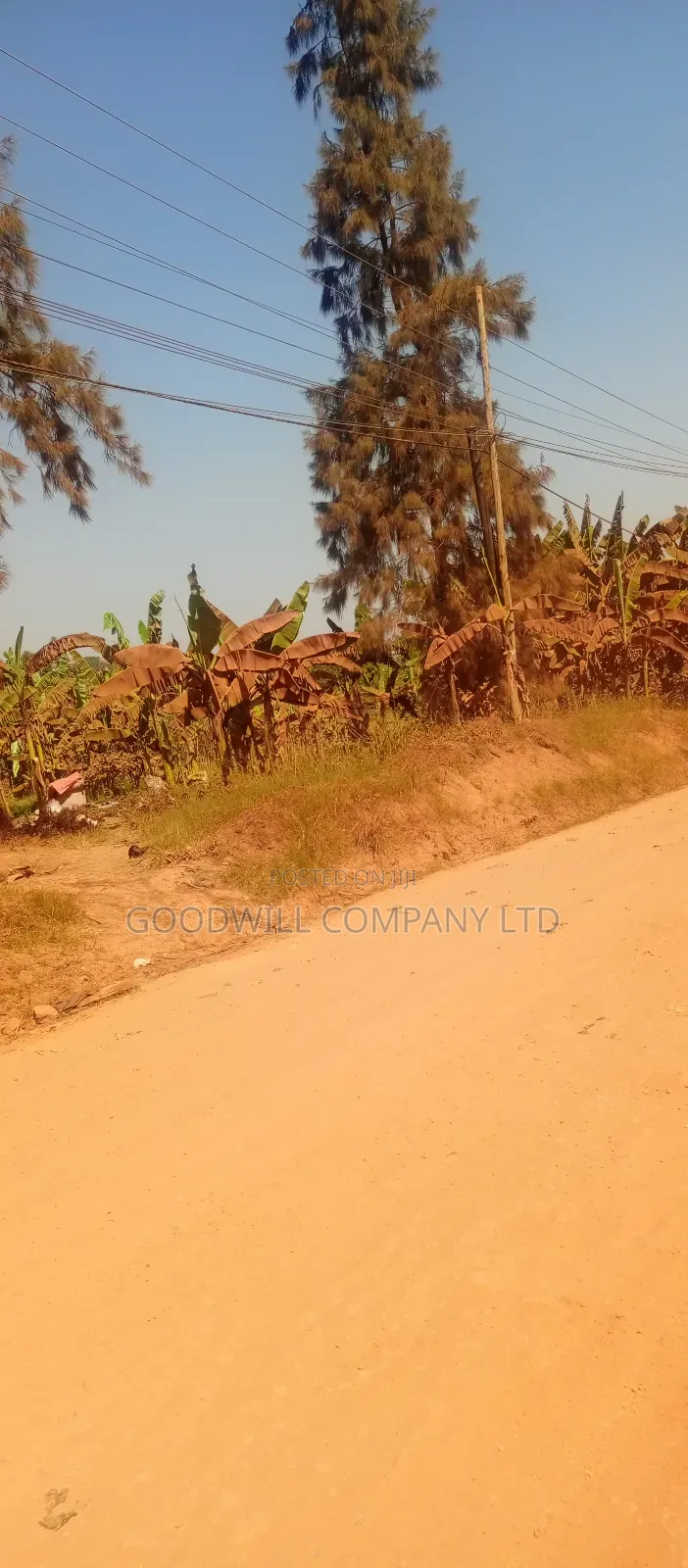 85 Decimals Commercial Plot of Land in Kira Kito