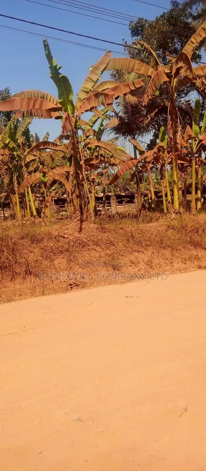 85 Decimals Commercial Plot of Land in Kira Kito