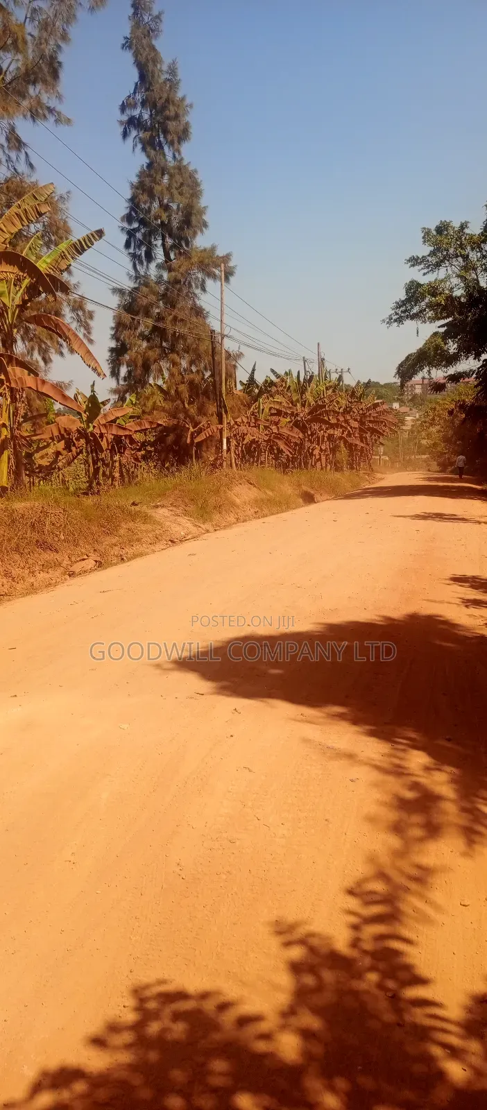 85 Decimals Commercial Plot of Land in Kira Kito
