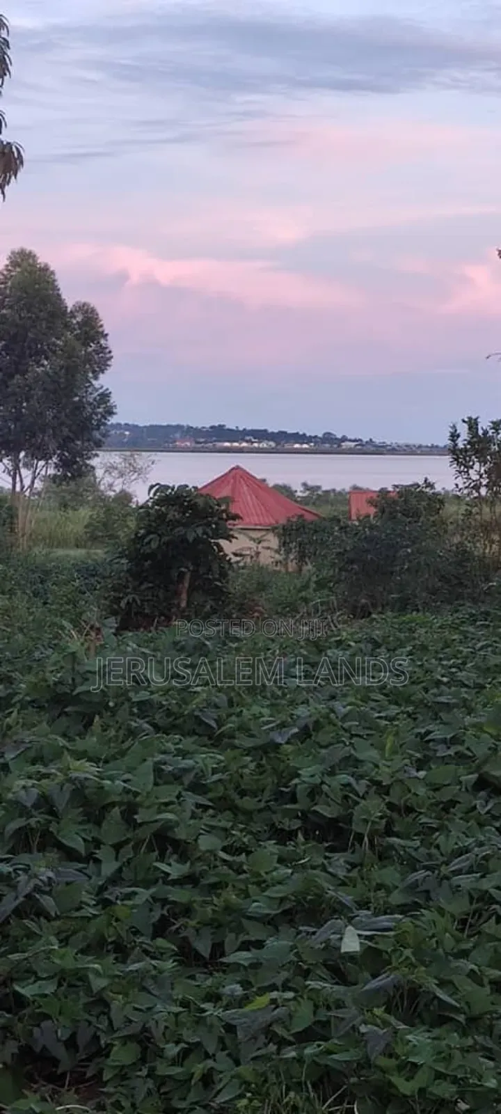 Entebbe Buwaya 300decimals at Only 90 Million)Ugx Each
