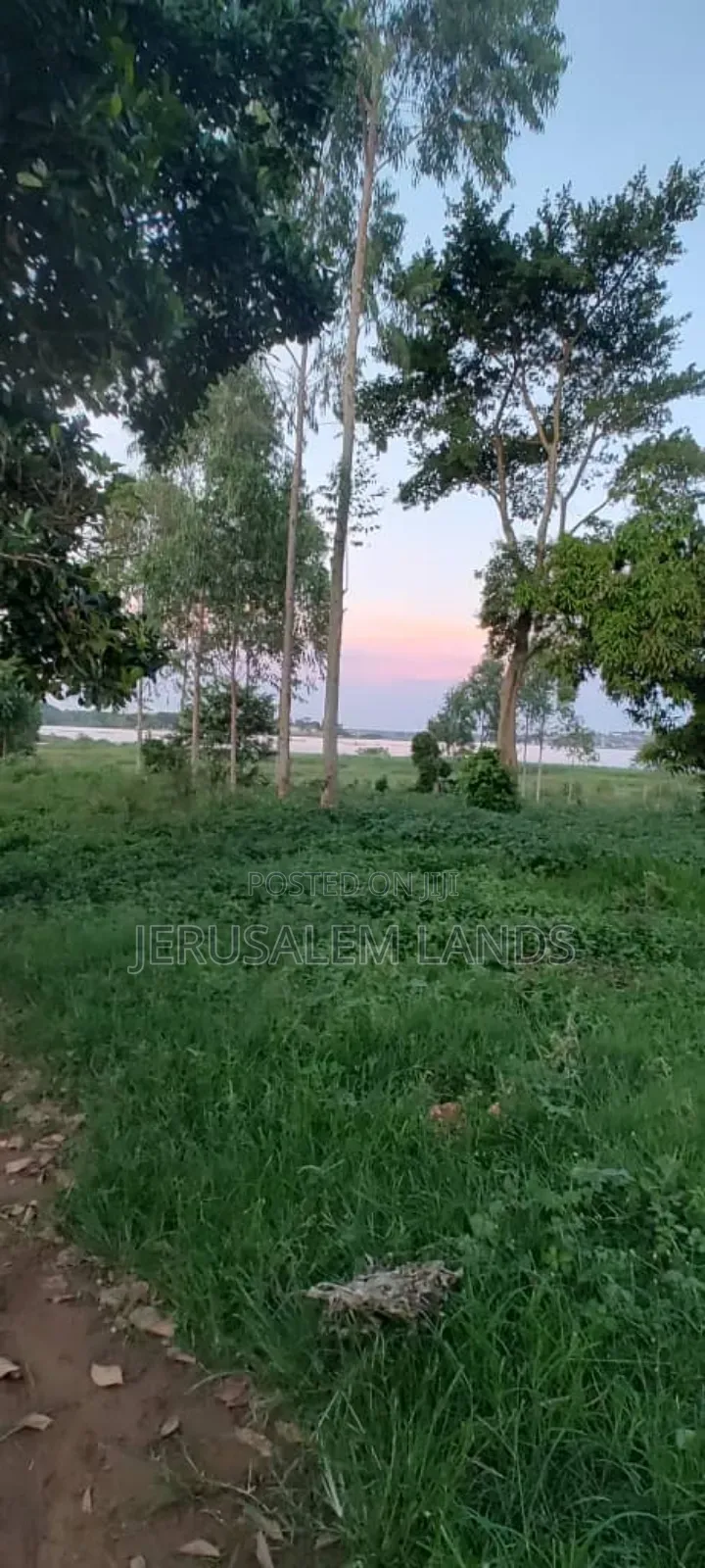 Entebbe Buwaya 300decimals at Only 90 Million)Ugx Each
