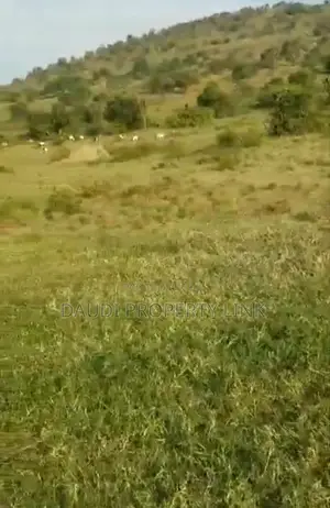 90 Acres Of Land On Sale In Isingiro District Western Uganda.
