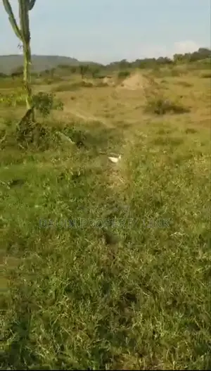 90 Acres Of Land On Sale In Isingiro District Western Uganda.