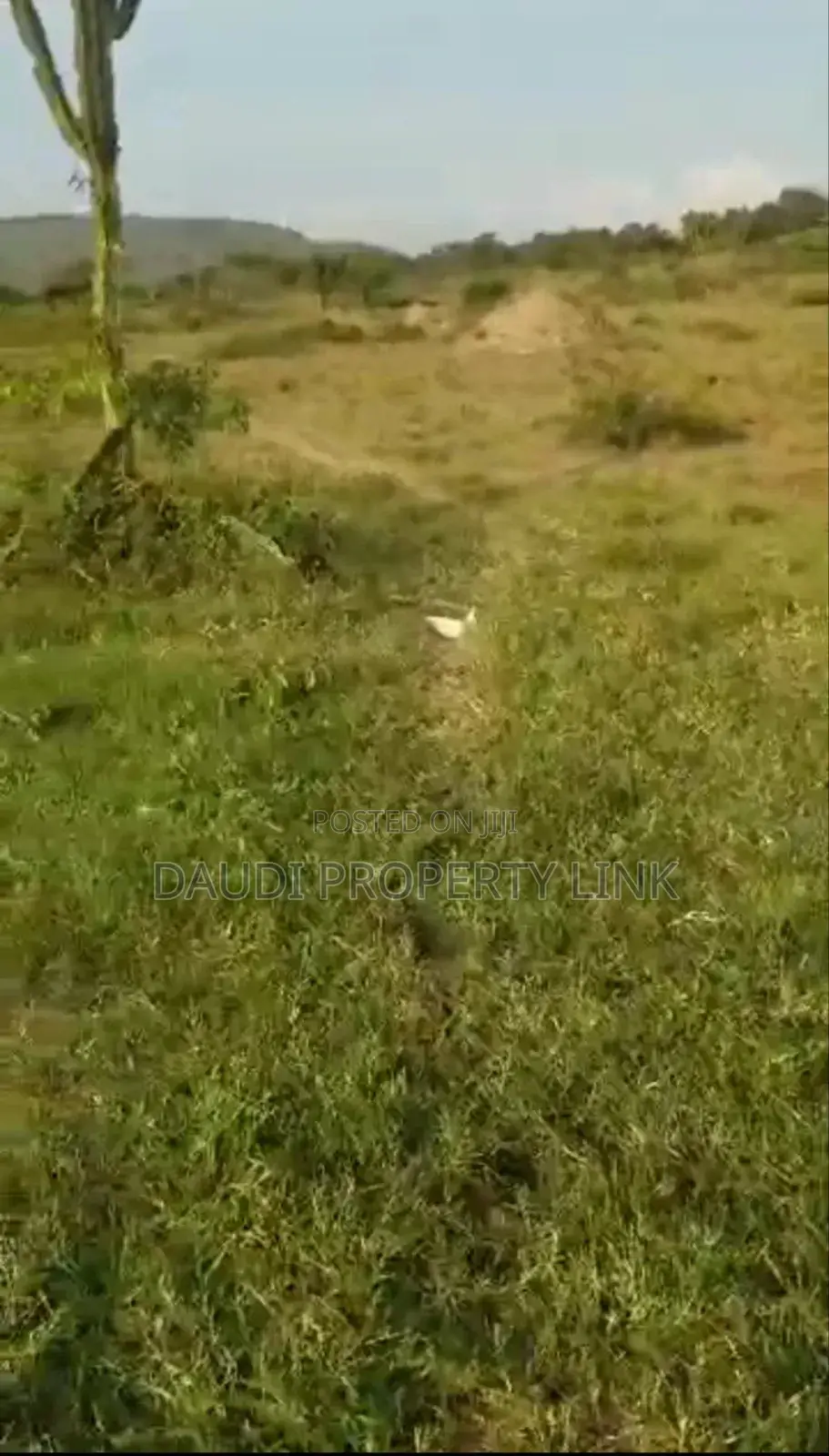 90 Acres Of Land On Sale In Isingiro District Western Uganda.