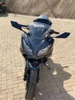 Kawasaki Ninja 300 2015 Black