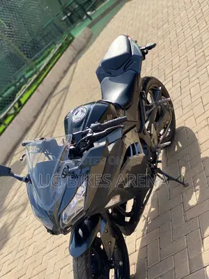 Kawasaki Ninja 300 2015 Black