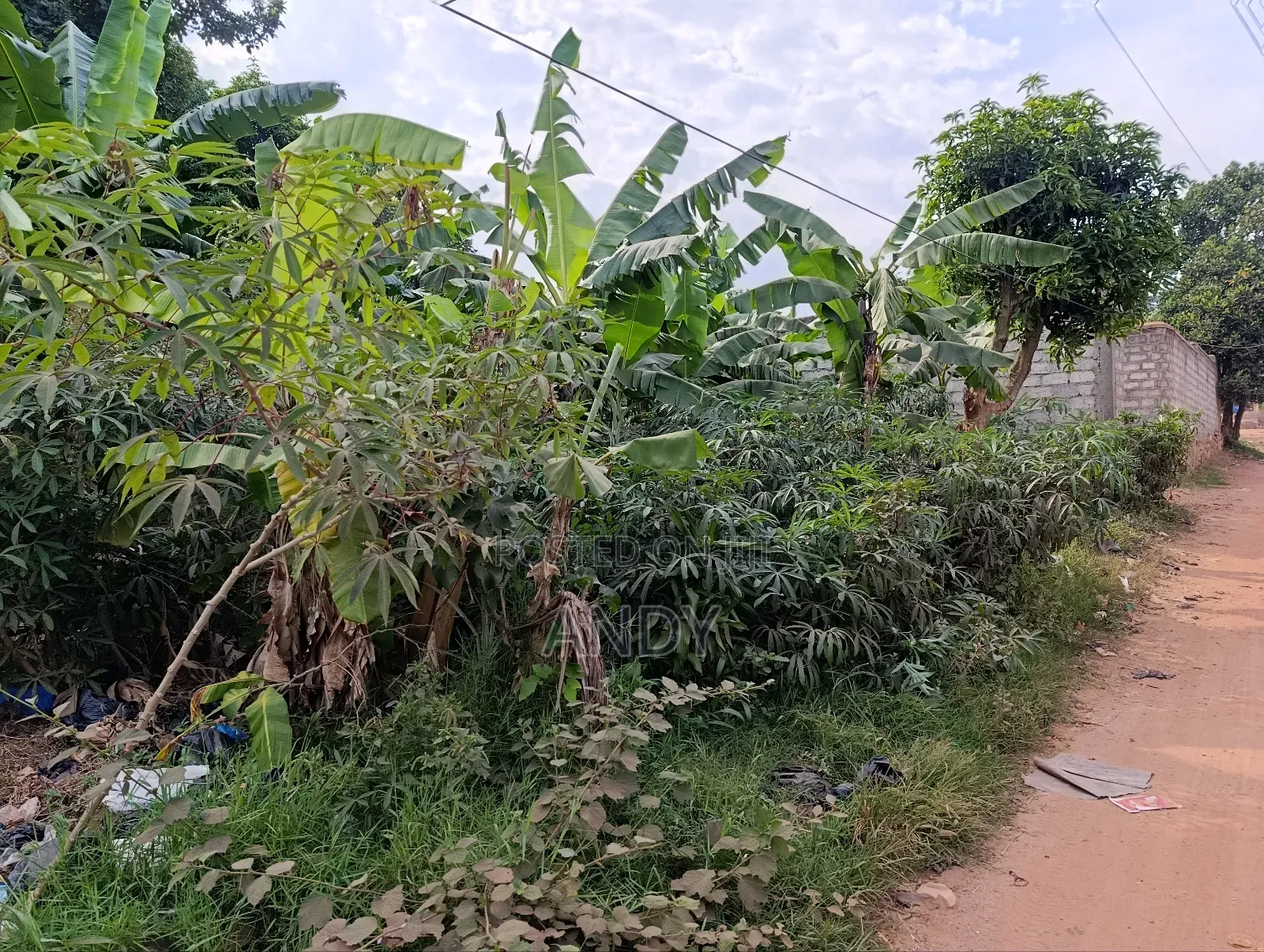 An Acre Kitende Lumuli Titled